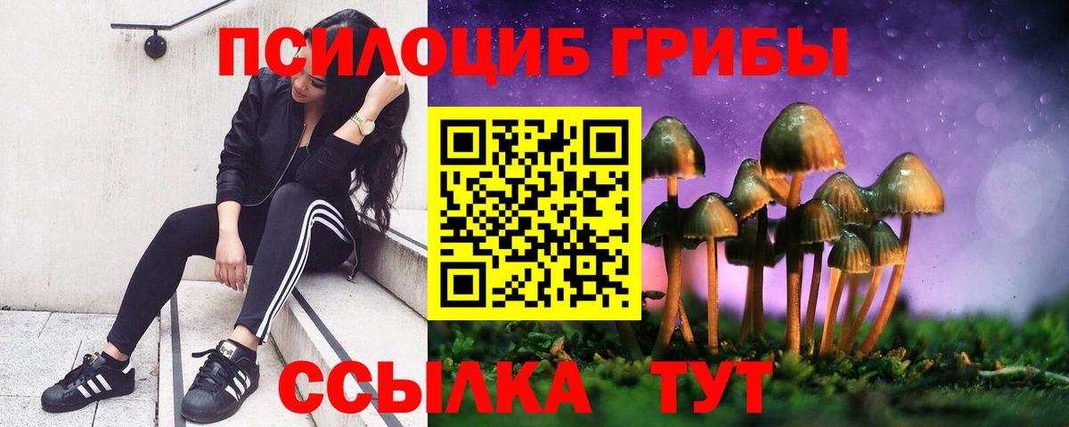 Новокуйбышевск  Галлюциногенные грибы мухоморы  Псилоцибиновые грибы ЛСД  Вход с VPN 
